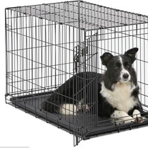 Petco Large Dog Crate: FAQs & Detailed Guides To Purchase