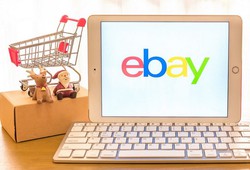 how-to-save-on-ebay-shopping-tips-reviews