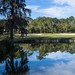 Public golf courses near me now: Top Golfnow course for you