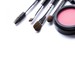 Does Sephora Price Match: Detailed Policy & Related FAQs